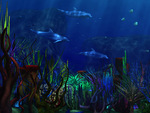 3D Dolphins