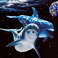 Dolphins in the galaxies