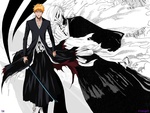 Bleach