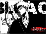 Bleach