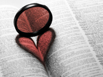 Heart In The Book