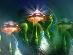 Mushroom Kingdom