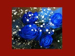 BLUE ROSES on RED WALL