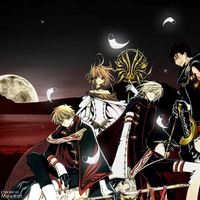 chronicle of the wings