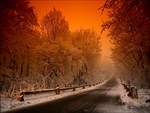 WINTER SNOW ROAD