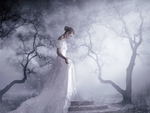THE WEDDING DRESS
