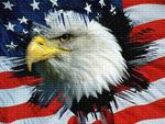eagle&flag