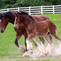 For an Afternoon stroll