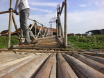 bamboo Bridge