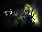 the witcher 2