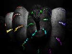 Colored Snake
