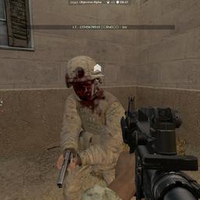 Insurgency Blood