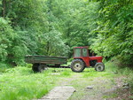 Tractor in the forest