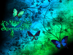 BLUE GREEN BUTTERFLIES
