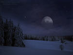 WINTER NIGHT WITH FULL MOON