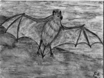 A drawing of a Bat.