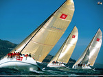 sailing in a race