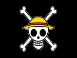 one piece skull of pirate