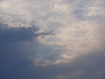 Sky and Birds
