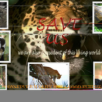 SAVE ANIMAL