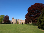 The Lawns Of Newstead