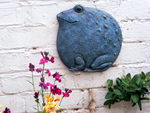Toad on the wall!!