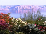 Kinneret Lake, Israel