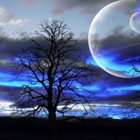 Beautiful Night on Another Planet