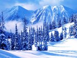 Snowy Mountains