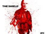 The Shield