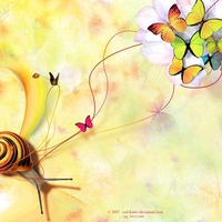 Snail And Butterflies