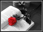 Rose-book