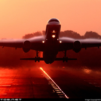 Taking Off at Sunset