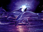 Dolphins