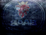Saab Logo faded