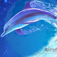 I like it. so beautiful