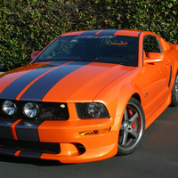 Stillen Mustang Orange Widescreen WP