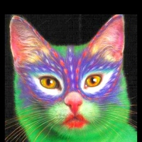 Painted Cat