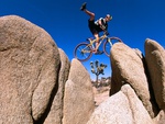 Yucca Valley biking