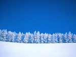 longest winter tales