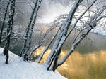 hot winter scenery