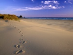 footsteps on sand