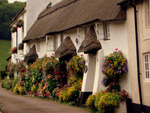 Flowery Cottage