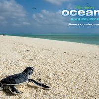 Disneys' Ocean Movie