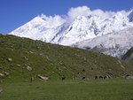 diran pakistan mountains
