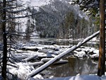 Winter, Grand Teton National Park