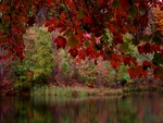 RED FALL LAKE