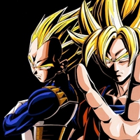Goku and Vegeta