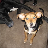 king of the mountain