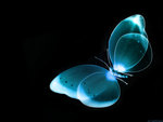 Glowing Butterfly